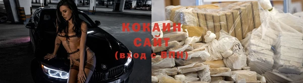 индика Алексин