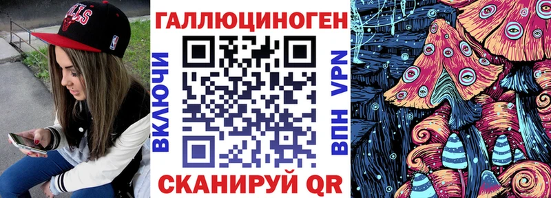 kraken рабочий сайт  Чекалин  Псилоцибиновые грибы Psilocybine cubensis 
